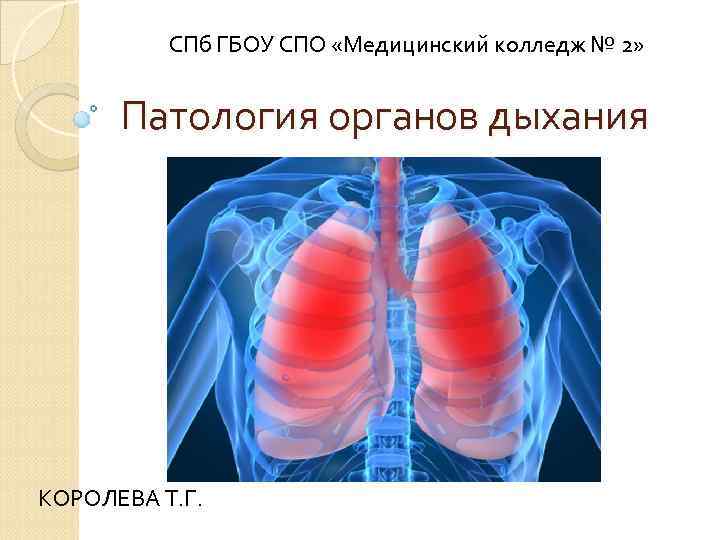    СПб ГБОУ СПО «Медицинский колледж № 2»   Патология органов