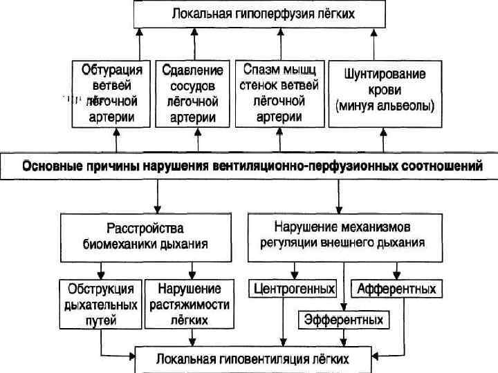  Показатели дыхательной   недостаточности 1.  Нарушение легочной вентиляции:  • Гипервентиляция