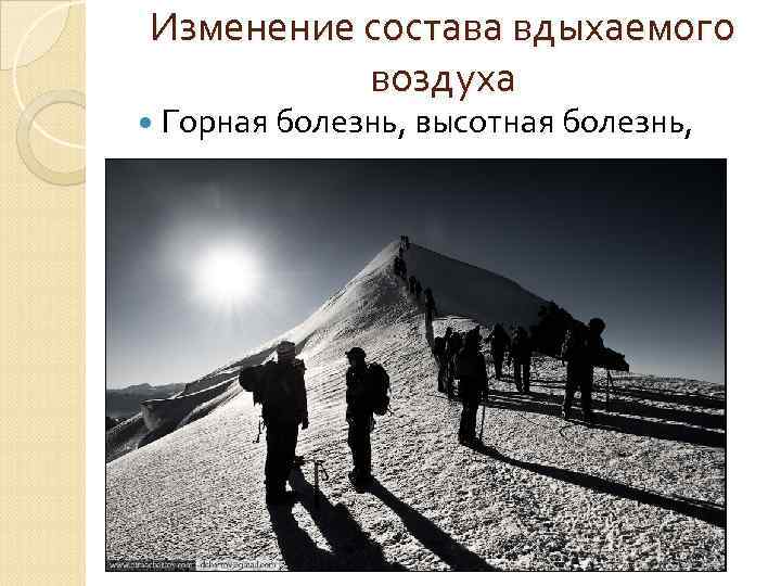 Нарушение функции бронхов Спазм, отек слизистой, закупорка бронхов при воспалении кашель 