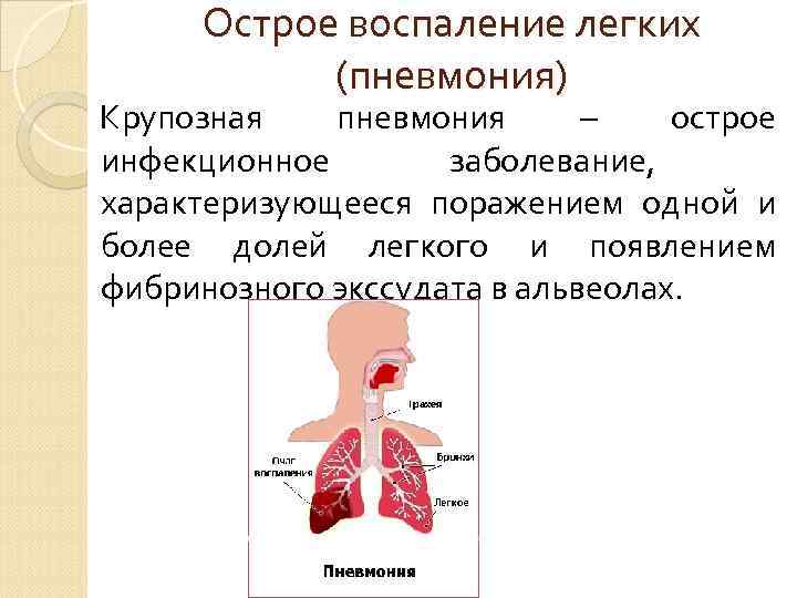 СТАДИЯ КРАСНОГО ОПЕЧЕНЕНИЯ  Вторые — четвертые сутки  болезни.  Пораженная доля красная,