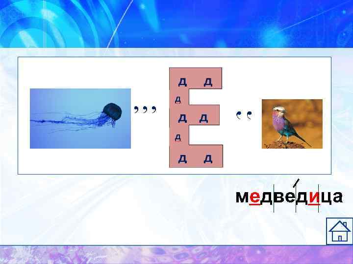 медведица 