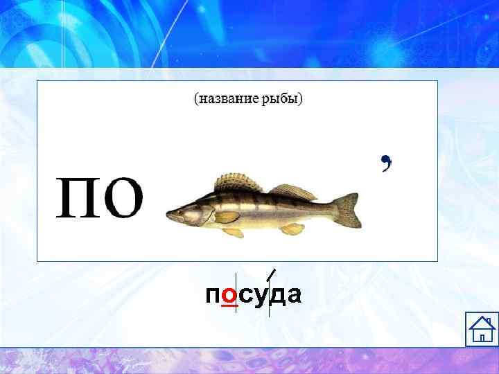 посуда 