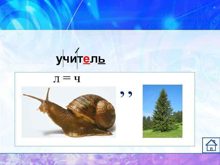 учитель 