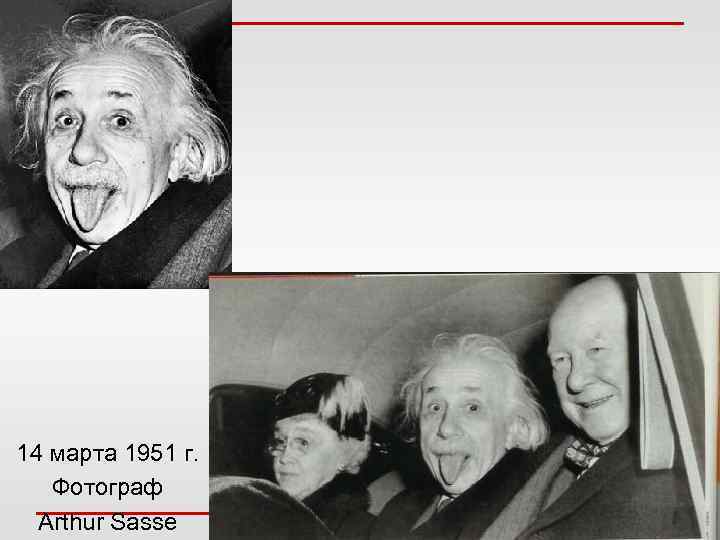 14 марта 1951 г. Фотограф  Arthur Sasse 