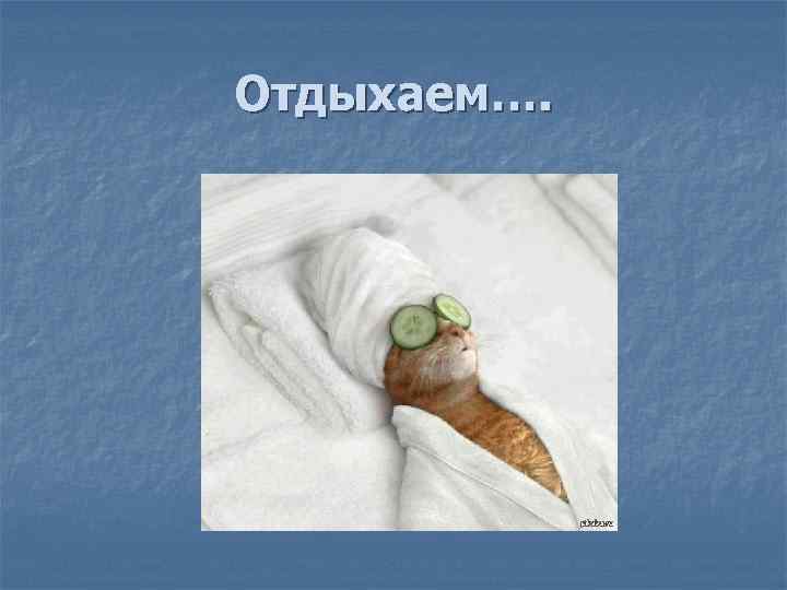 Отдыхаем…. 