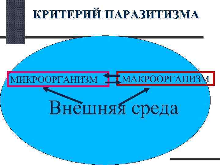  КРИТЕРИЙ ПАРАЗИТИЗМА МИКРООРГАНИЗМ МАКРООРГАНИЗМ Внешняя среда 