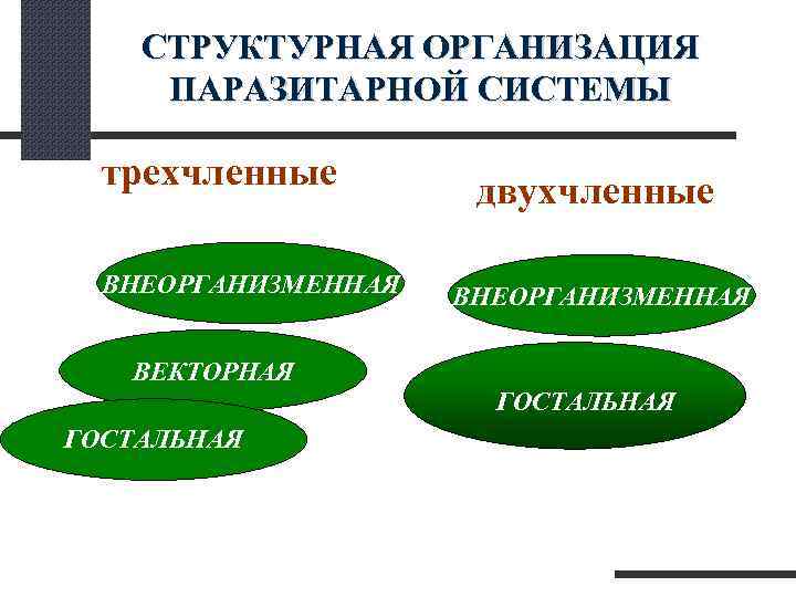  СТРУКТУРНАЯ ОРГАНИЗАЦИЯ ПАРАЗИТАРНОЙ СИСТЕМЫ трехчленные двухчленные ВНЕОРГАНИЗМЕННАЯ ВЕКТОРНАЯ ГОСТАЛЬНАЯ 