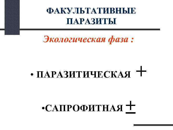  ФАКУЛЬТАТИВНЫЕ ПАРАЗИТЫ Экологическая фаза : • ПАРАЗИТИЧЕСКАЯ + • САПРОФИТНАЯ + 