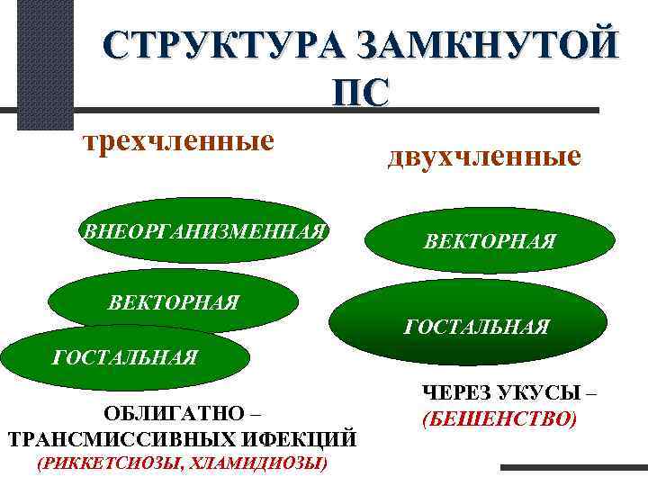  СТРУКТУРА ЗАМКНУТОЙ ПС трехчленные двухчленные ВНЕОРГАНИЗМЕННАЯ ВЕКТОРНАЯ ГОСТАЛЬНАЯ ЧЕРЕЗ УКУСЫ – ОБЛИГАТНО –