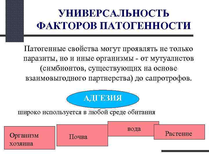  УНИВЕРСАЛЬНОСТЬ ФАКТОРОВ ПАТОГЕННОСТИ Патогенные свойства могут проявлять не только паразиты, но и иные