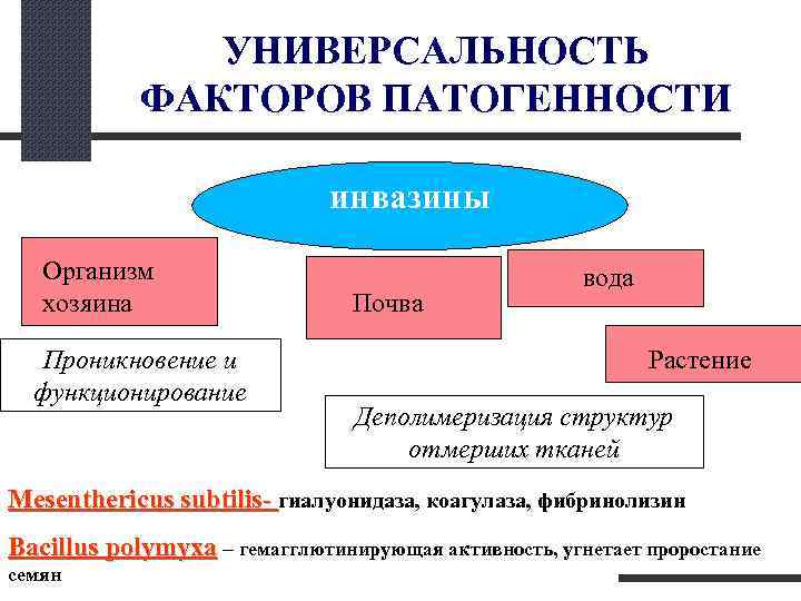  УНИВЕРСАЛЬНОСТЬ ФАКТОРОВ ПАТОГЕННОСТИ инвазины Организм вода хозяина Почва Проникновение и Растение функционирование Деполимеризация