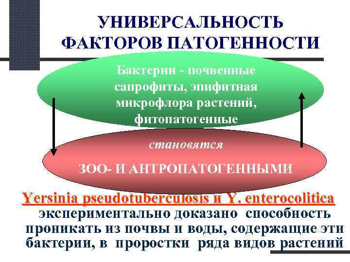  УНИВЕРСАЛЬНОСТЬ ФАКТОРОВ ПАТОГЕННОСТИ Бактерии - почвенные сапрофиты, эпифитная микрофлора растений, фитопатогенные становятся ЗОО-