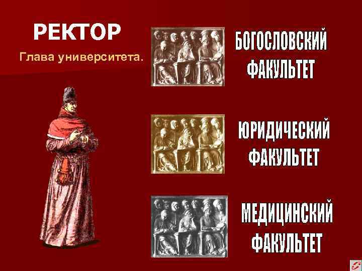  РЕКТОР Глава университета. 