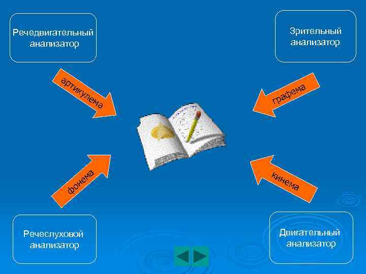 Речедвигательный Зрительный анализатор ар ти а ку м л ем ра фе а г