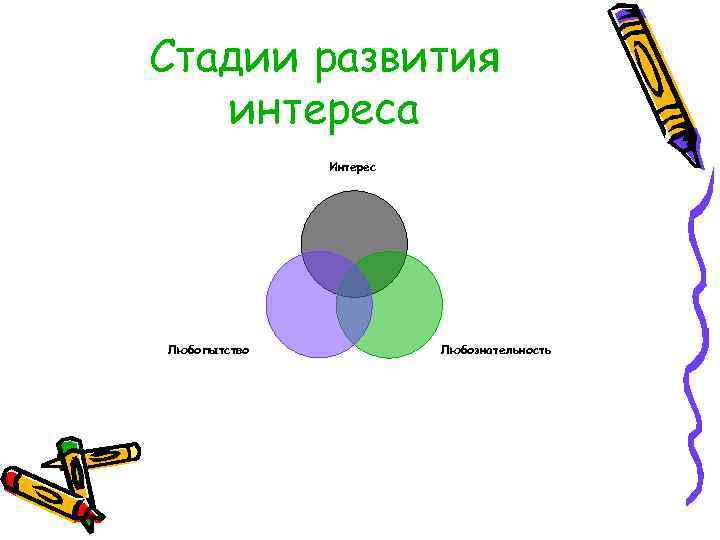 Стадии развития  интереса    Интерес Любопытство   Любознательность 