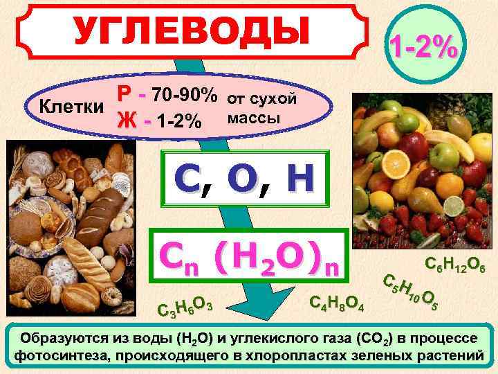  УГЛЕВОДЫ 1 -2% Р - 70 -90% от сухой Клетки Ж - 1