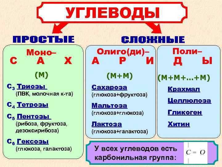  УГЛЕВОДЫ Моно– Олиго(ди)– Поли– С А Х А Р И Д Ы (М)