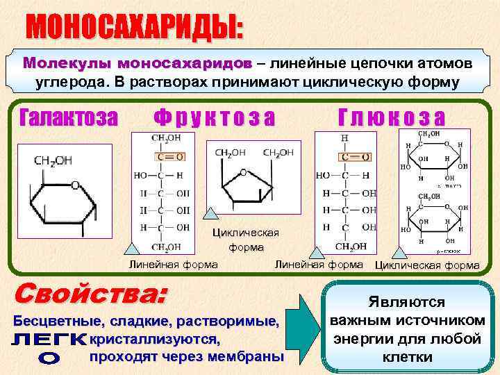  МОНОСАХАРИДЫ: Молекулы моносахаридов – линейные цепочки атомов моносахаридов углерода. В растворах принимают циклическую