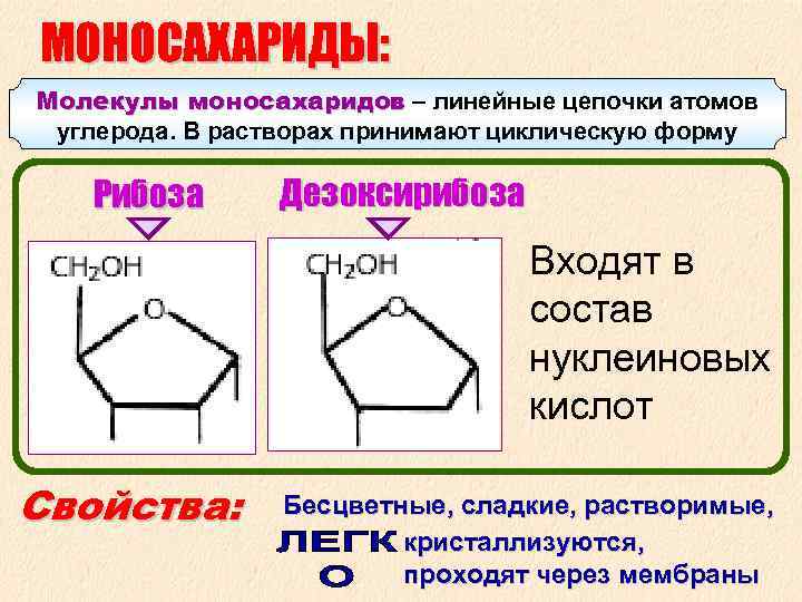 МОНОСАХАРИДЫ: Молекулы моносахаридов – линейные цепочки атомов моносахаридов углерода. В растворах принимают циклическую форму