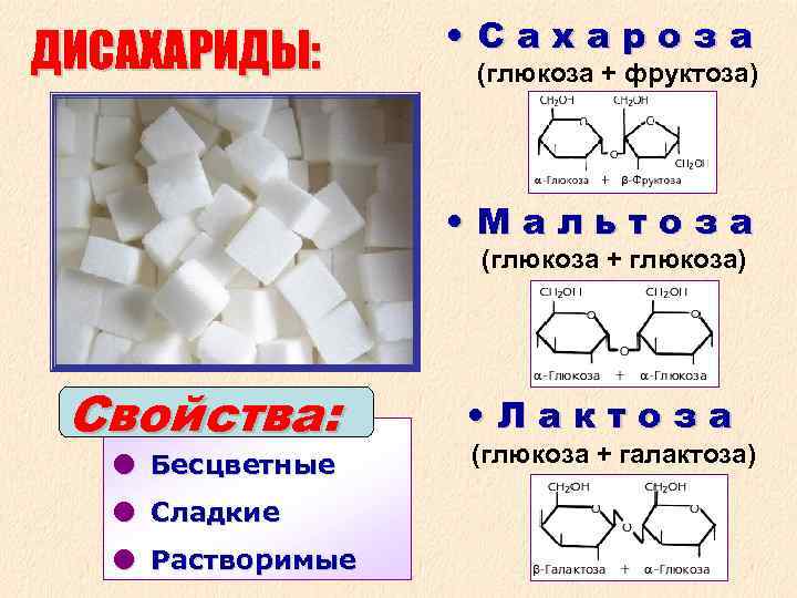  • С а х а р о з а ДИСАХАРИДЫ: (глюкоза + фруктоза)