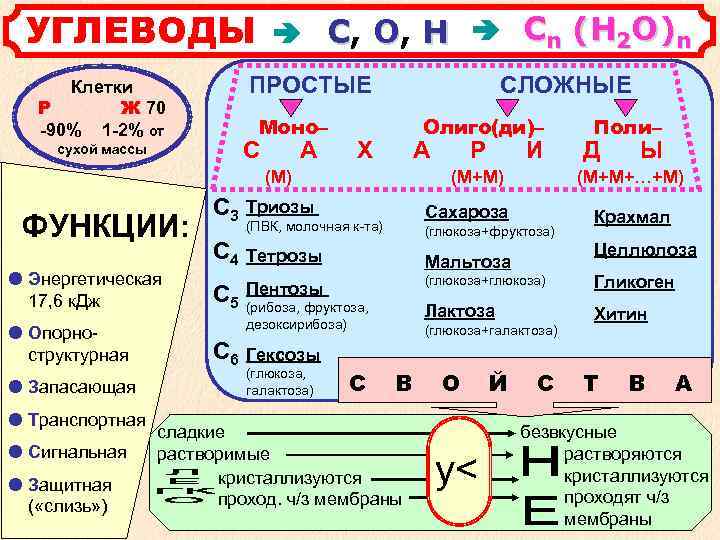  УГЛЕВОДЫ С, О, Н Сn (Н 2 О)n Клетки ПРОСТЫЕ СЛОЖНЫЕ Р Ж