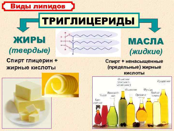  Виды липидов ТРИГЛИЦЕРИДЫ ЖИРЫ МАСЛА (твердые) (жидкие) Спирт глицерин + Спирт + ненасыщенные