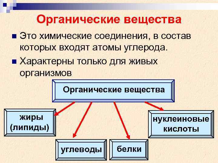  Органические вещества n Это химические соединения, в состав которых входят атомы углерода. n