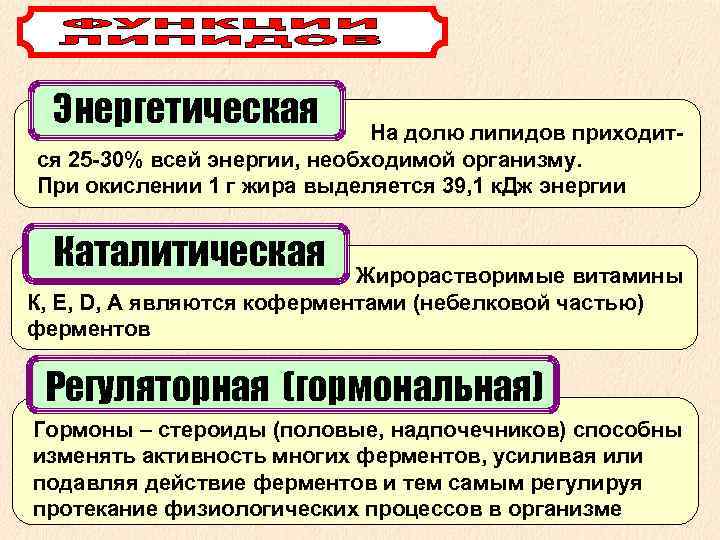  Энергетическая На долю липидов приходит- ся 25 -30% всей энергии, необходимой организму. При