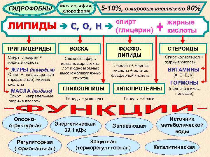  Бензин, эфир, ГИДРОФОБНЫ хлороформ 5 -10%, в жировых клетках до 90% спирт жирные