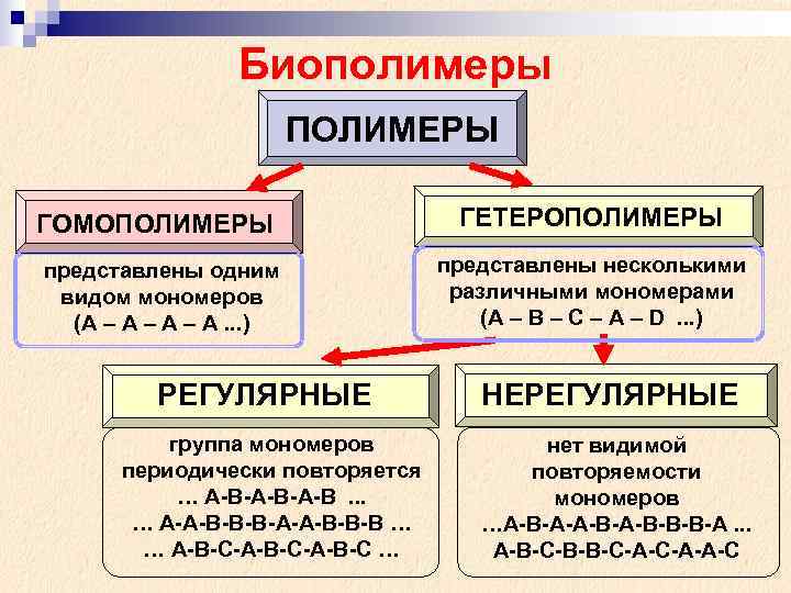  Биополимеры ПОЛИМЕРЫ ГОМОПОЛИМЕРЫ ГЕТЕРОПОЛИМЕРЫ представлены одним представлены несколькими видом мономеров различными мономерами (А