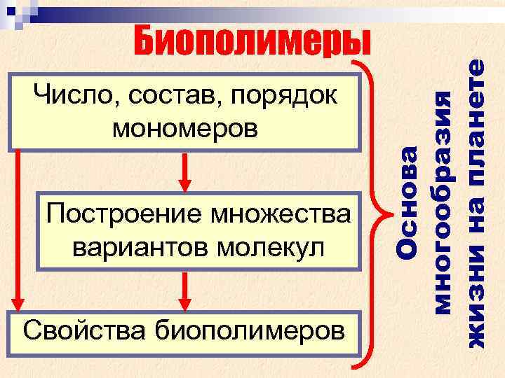  Биополимеры жизни на планете Число, состав, порядок многообразия мономеров Основа Построение множества вариантов