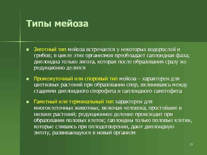 Типы мейоза n Зиготный тип мейоза встречается у некоторых водорослей и грибов; в Типы мейоза n Зиготный тип мейоза встречается у некоторых водорослей и грибов; в