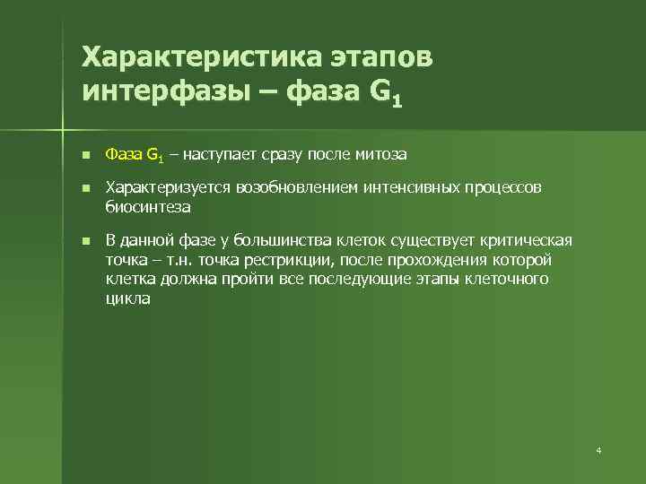 Характеристика этапов интерфазы – фаза G 1 n Фаза G 1 – наступает Характеристика этапов интерфазы – фаза G 1 n Фаза G 1 – наступает