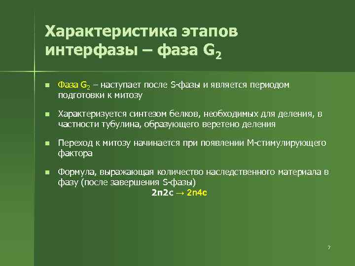 Характеристика этапов интерфазы – фаза G 2 n Фаза G 2 – наступает Характеристика этапов интерфазы – фаза G 2 n Фаза G 2 – наступает