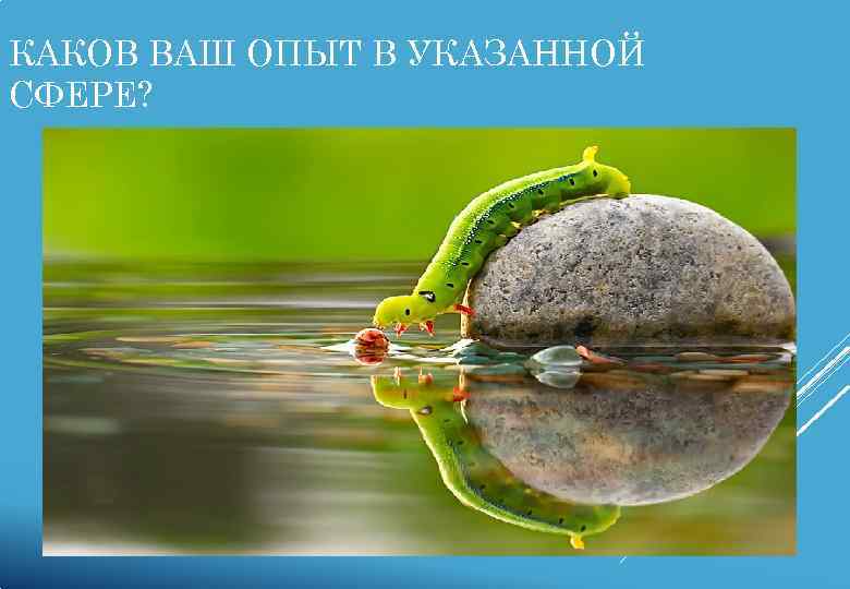 КАКОВ ВАШ ОПЫТ В УКАЗАННОЙ СФЕРЕ? 