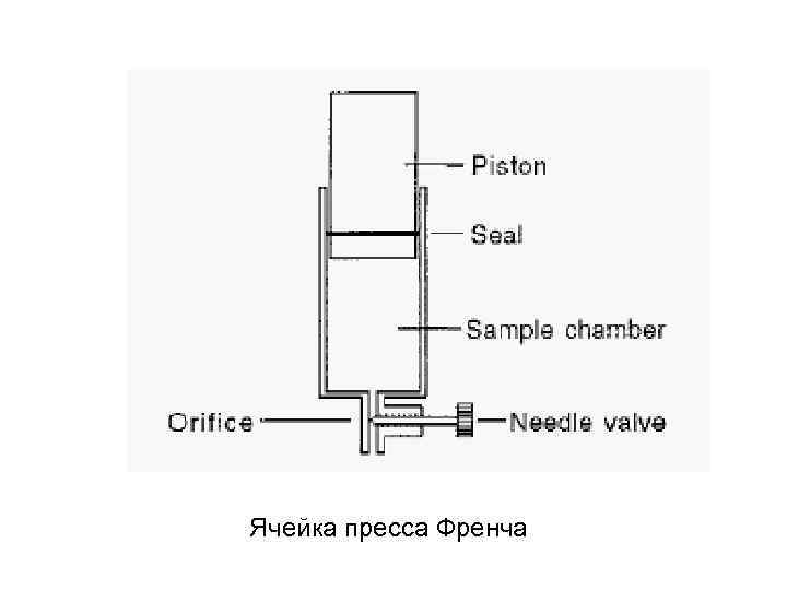 Ячейка пресса Френча 