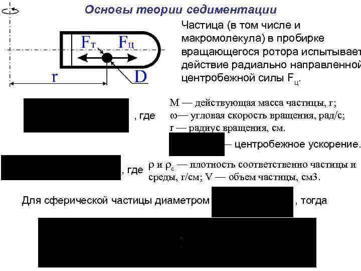  Основы теории седиментации Частица (в том числе и макромолекула) в пробирке вращающегося ротора