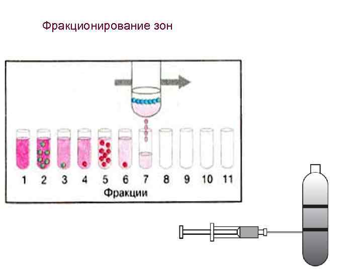 Фракционирования плазмы. Фракционирование крови. Фракционирование плазмы. Фракционирование плазмы крови. Фракционирование плазмы крови по кону.