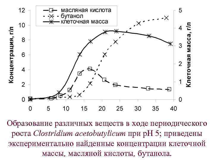 Образование различных веществ в ходе периодического роста Clostridium acetobutylicum при р. Н 5; приведены