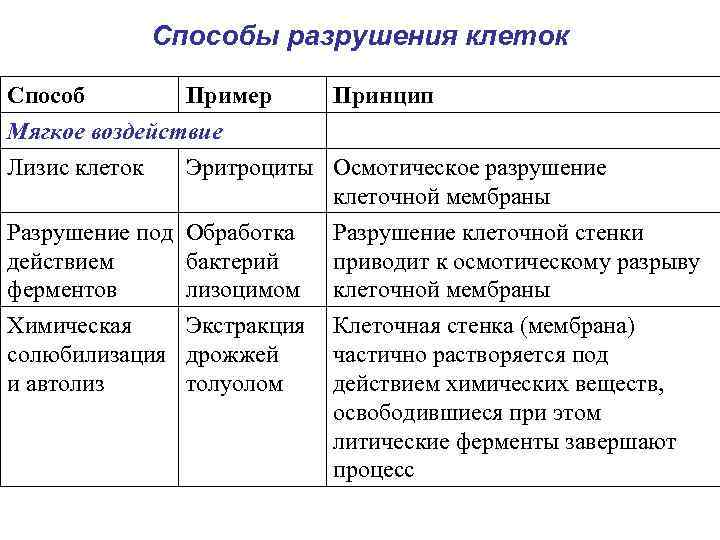  Способы разрушения клеток Способ Пример Принцип Мягкое воздействие Лизис клеток Эритроциты Осмотическое разрушение