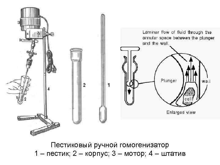  Пестиковый ручной гомогенизатор 1 – пестик; 2 – корпус; 3 – мотор; 4