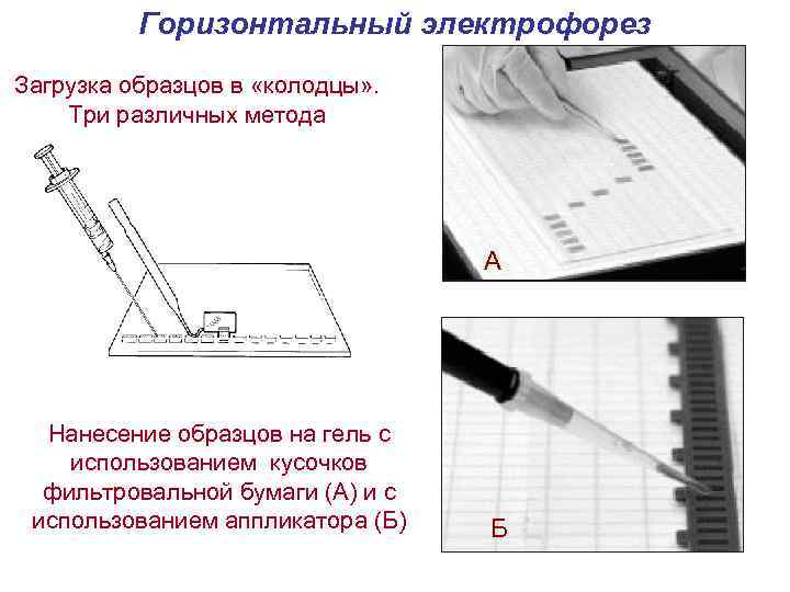 Горизонтальный электрофорез Загрузка образцов в «колодцы» . Три различных метода А Нанесение образцов на