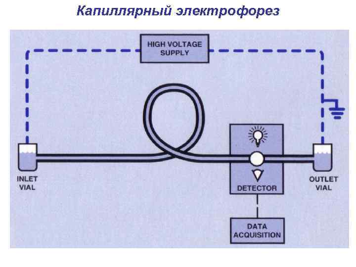 Капиллярный электрофорез 