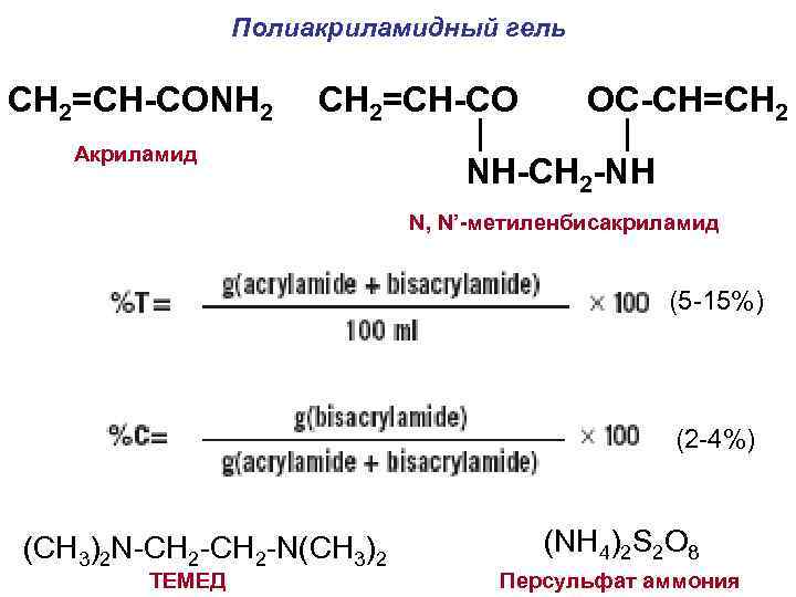 Полиакриламидный гель CH 2=CH-CONH 2 Акриламид CH 2=CH-CO OC-CH=CH 2 | | NH-CH 2