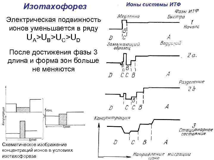 Изотахофорез Электрическая подвижность ионов уменьшается в ряду UA>UB>UC>UD После достижения фазы 3 длина и