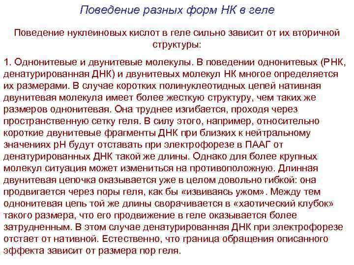 Поведение разных форм НК в геле Поведение нуклеиновых кислот в геле сильно зависит от