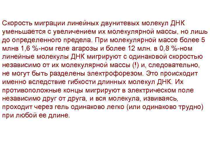 Скорость миграции линейных двунитевых молекул ДНК уменьшается с увеличением их молекулярной массы, но лишь