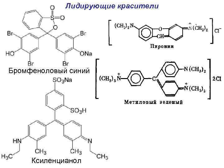 Лидирующие красители Бромфеноловый синий Ксиленцианол 