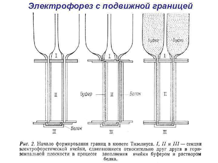 Электрофорез с подвижной границей 