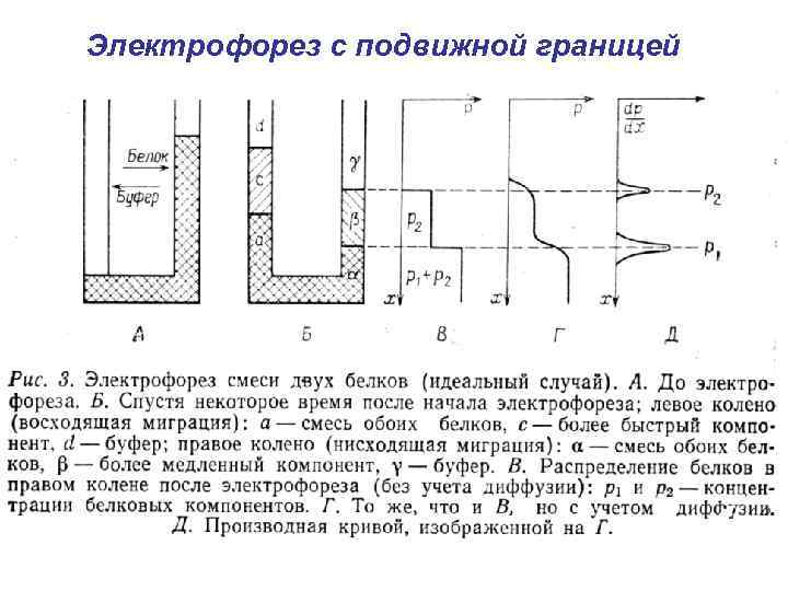 Электрофорез с подвижной границей 